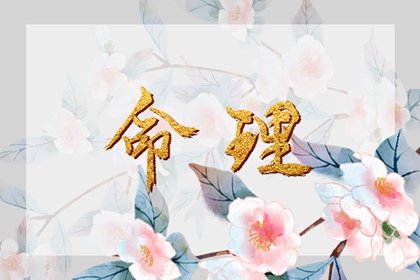 择吉老黄历皇历 黄历择吉 搬家择吉日